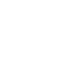 External Audits
