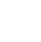 Consulting Services