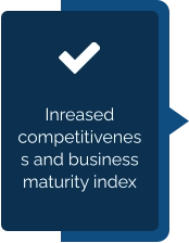 Inreased competitiveness and business maturity index