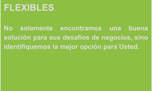 FLEXIBLES  No solamente encontramos una buena solución para sus desafíos de negocios, sino identifiquemos la mejor opción para Usted.